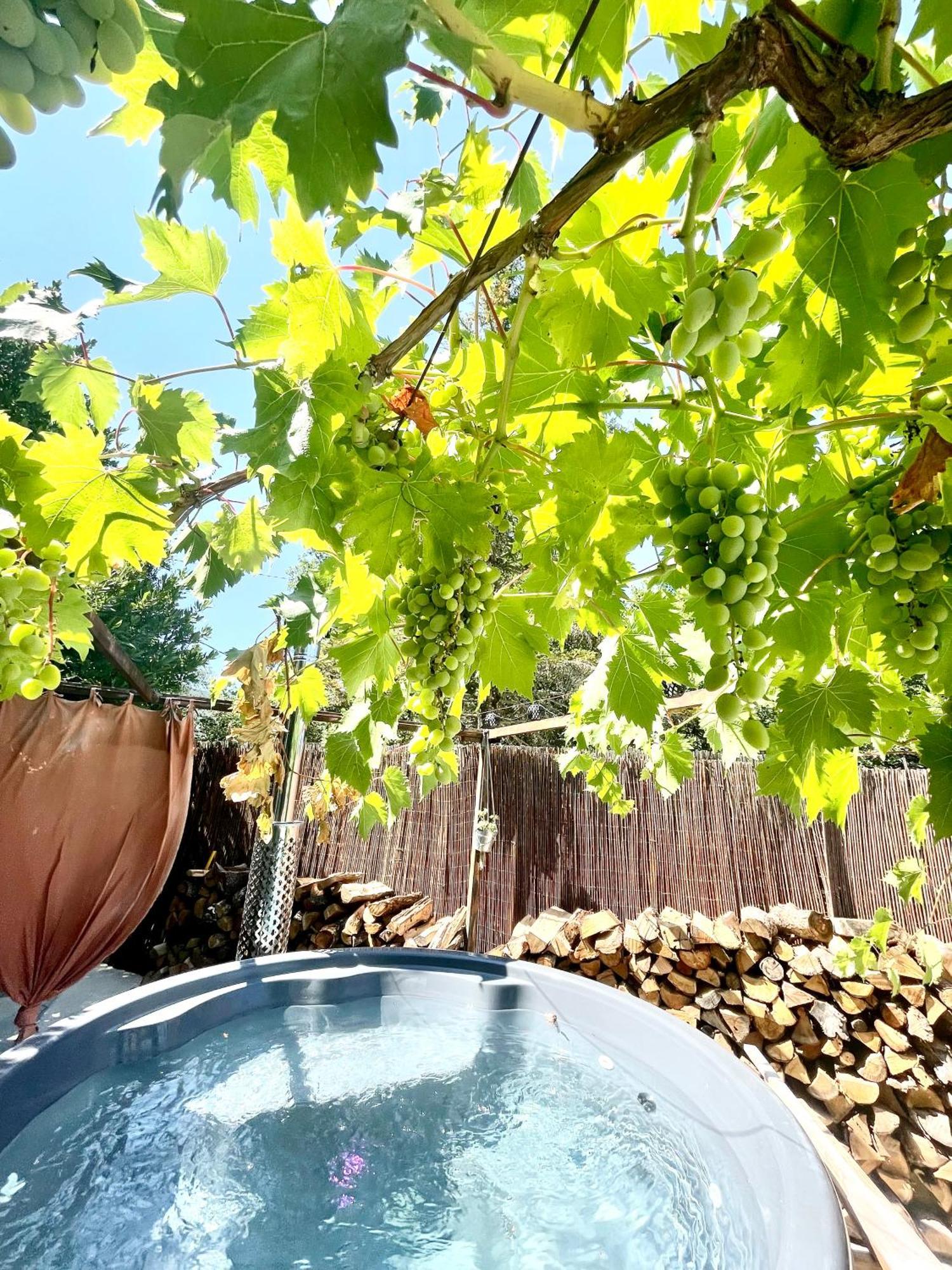 Vila Cabanon Aloe Avec Piscine Chauffee & Bain Nordique Veaux Exteriér fotografie